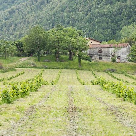 Podere Groppini Fivizzano Exteriör bild