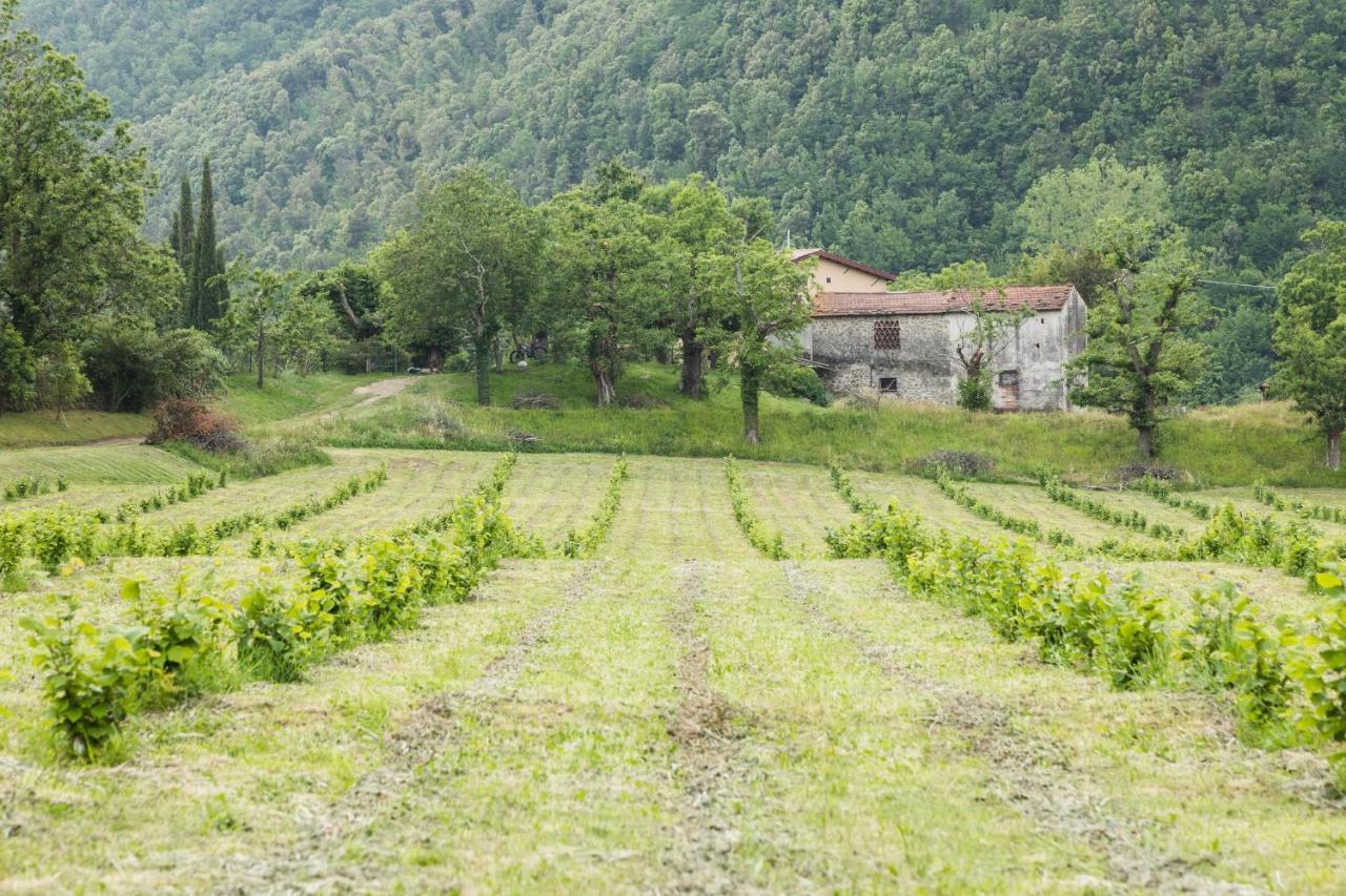 Podere Groppini Fivizzano Exteriör bild