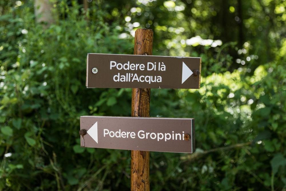 Podere Groppini Fivizzano Exteriör bild