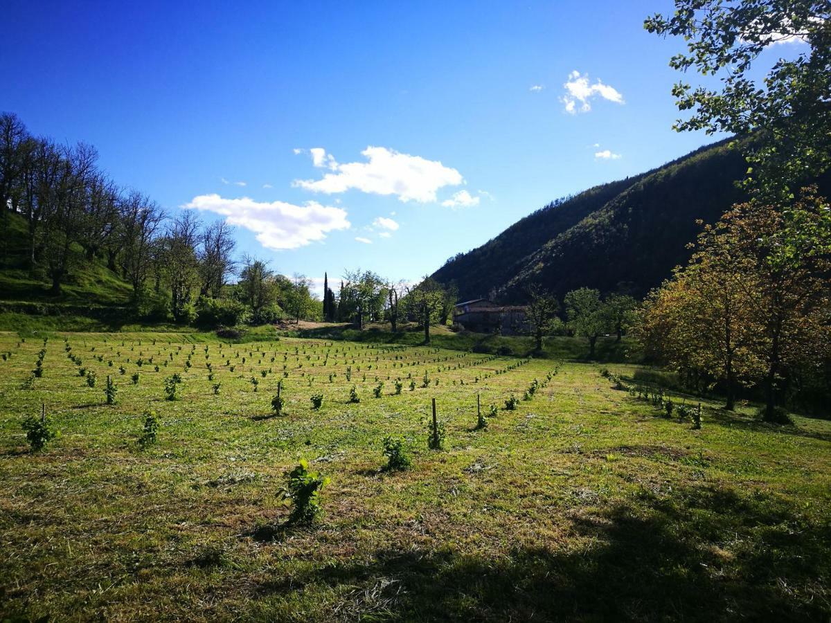 Podere Groppini Fivizzano Exteriör bild